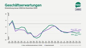 Geschäftserwartungen von Solo- und Kleinstunternehmer/innen versus Gesamtwirtschaft