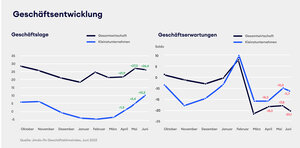 Geschäftslage und -erwartungen im Juni: Soloselbstständige und Kleinstunternehmen (blau) versus Gesamtwirtschaft (schwarz)