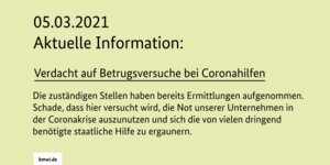 Mehr Informationen als diese Kachel waren auf der Website des BMWi zunächst nicht zu finden