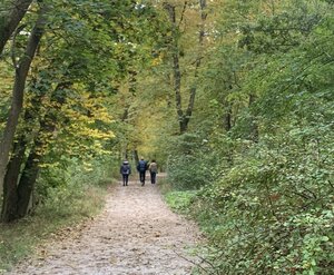 Einfach mal raus - Pause im Grünen