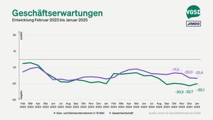 Geschäftserwartungen von Solo- und Kleinstunternehmer/innen versus Gesamtwirtschaft