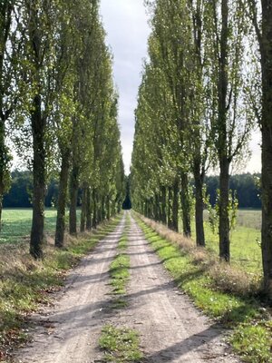 Ob in der Stadt oder in der Natur: Wo kannst du Energie tanken?