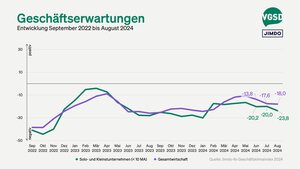 Geschäftserwartungen von Solo- und Kleinstunternehmer/innen versus Gesamtwirtschaft