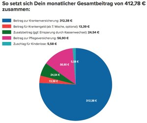 Und so setzt sich der monatliche Beitrag im Einzelnen zusammen. Auch diese Grafik wird automatisch berechnet.