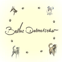 Bellos Dolmetscher