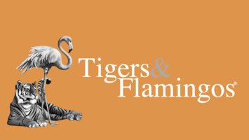 Tigers & Flamingos GmbH