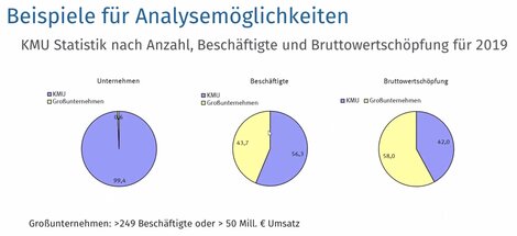 Nach bisher vorhandenen Daten machen kleine und mittlere Unternehmen (KMU) 99,4% aller Unternehmen, 56,3% ihres Umsatzes und 42,0% ihrer Wertschöpfung aus. Bald werden wir über ihre Bedeutung und Kostenstruktur bis auf Einzelbranchen hinab sehr viel genauer Bescheid wissen.