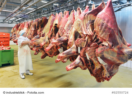 Rinderviertel im Kühlhaus eines Schlachtbetriebs. Bildrechte: Fotolia – industrieblick.